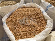 Закупаем зерно фуражное(Пшеница,  Ячмень)