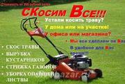 Покос травы и выпиливание кустарников в Гродно и области!!!.Наличный и